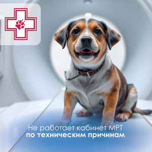 Новости июнь 25 (Тех. работы)-02.2