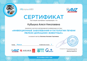 Кубышка Сертификат 2