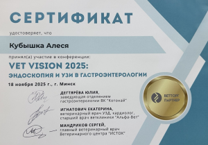 Кубышка - Vet vision 25 - эндоскопия и узи в гастро (18.11