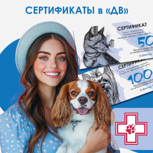 Новость сертификаты ДВ - июнь 25_Монтажная область 1