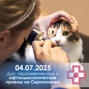 Офтальмологический прием ДВ - июль 25