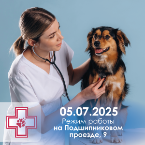 Режим работы Подшипниковый - июль 25_Монтажная область 1