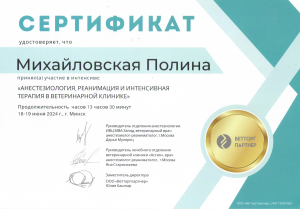 Михайловская-анестезиология-орит-18-19.06.24