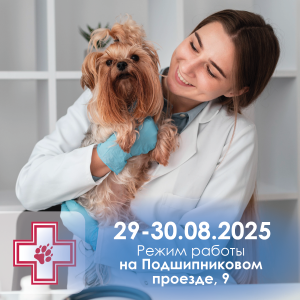 Режим работы Подшипниковый - август 25_Монтажная область 1