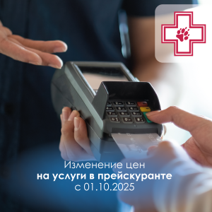 Новости сентябрь 25 (Изменение цен)_Монтажная область 1