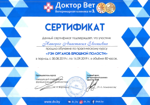 Хорошко-УЗИ брюшной полости (30.08.19-16.09.19)