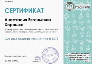 Хорошко-основы ведения пациентов с ХБП (10.02.26)