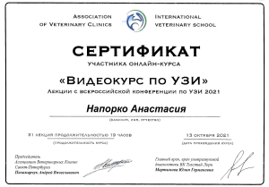 Хорошко-видеокурс по узи (31.10.21)