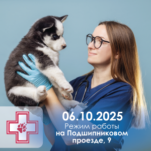 Режим работы Подшипниковый - октябрь 25_Монтажная область 1