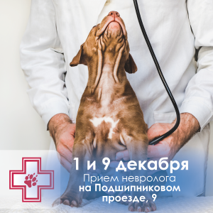 Доп. приемы невролога - ноябрь 25_Монтажная область 1