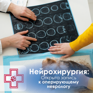 Прием нового нейрохирурга - март 26