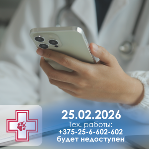 Тех. работы Лаф - февраль 26