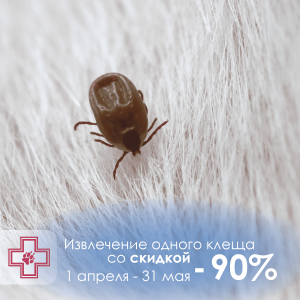 Акция апрель-май -стоп-клещ