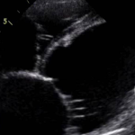 дкмп соб 3-заставка