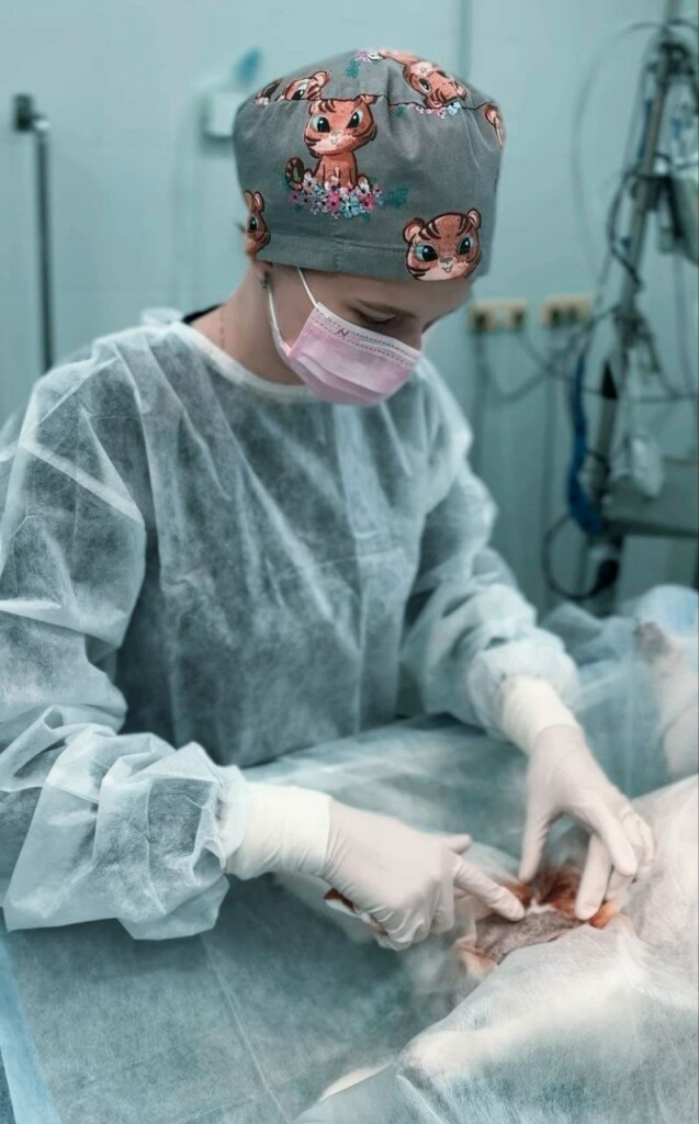 photo_5213043631453836800_y