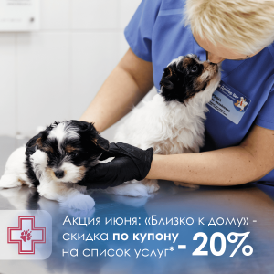 Акции май 26