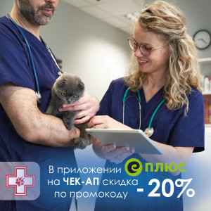 Акция июнь-декабрь еплюс 26