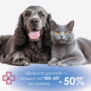 Акции август 26