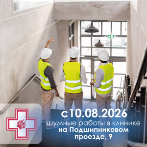 Шумные работы - август 26