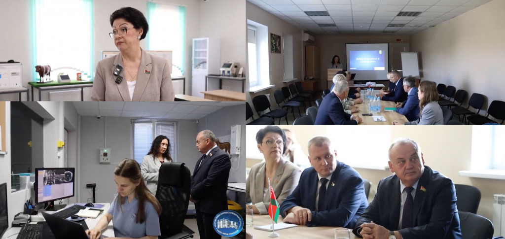 Заседание депутатов с участие ДВ