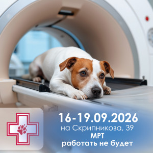 Не работает МРТ - сентябрь 26